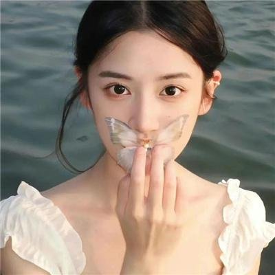 苍鹭与少年 封面